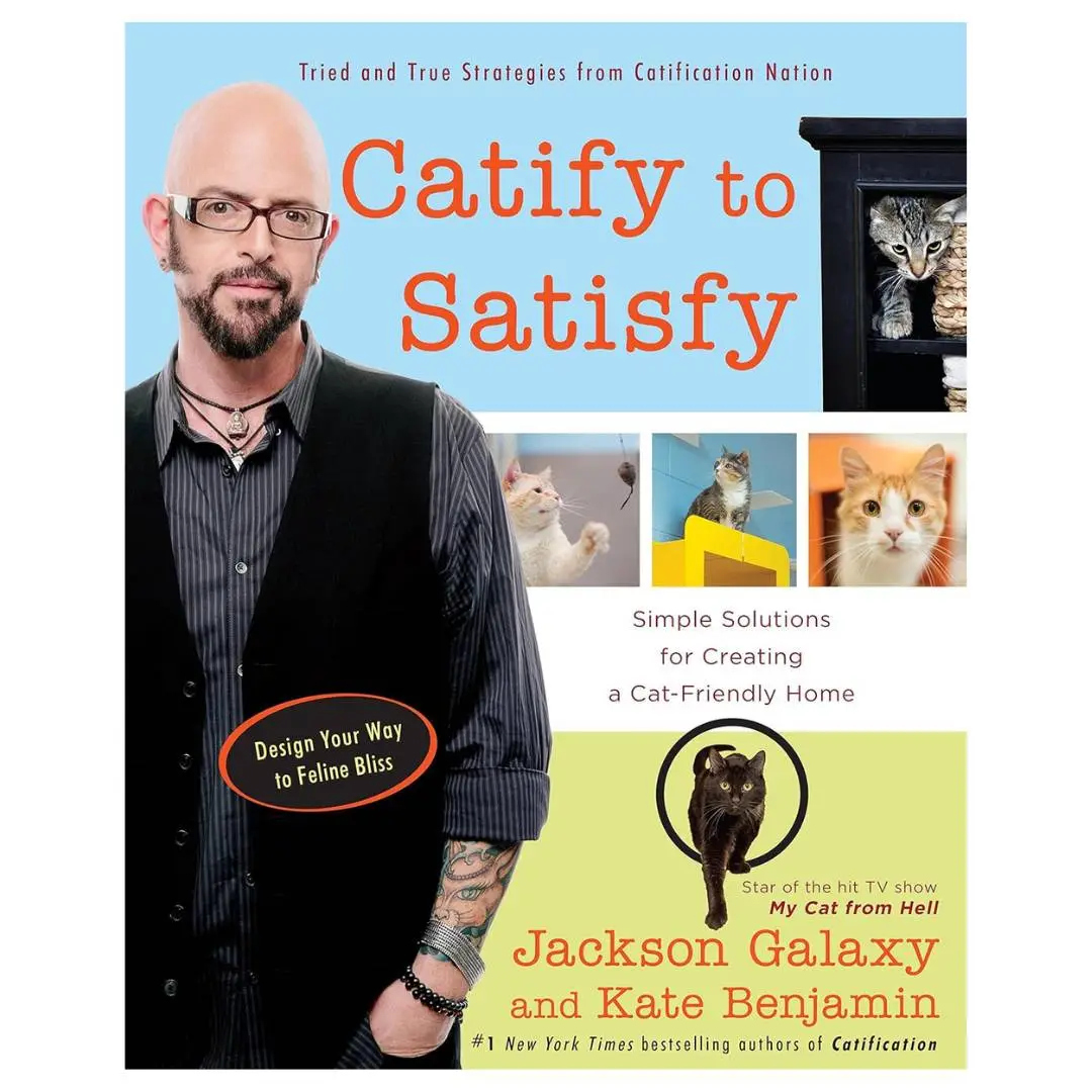 Catify to Satisfy: Simple Solutions for Creating a Cat-Friendly Home Catify to Satisfy: Simple Solutions for Creating a Cat-Friendly Home