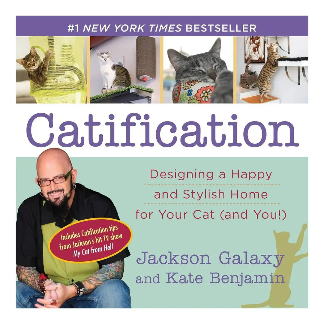 Catification: Designing a Happy and Stylish Home for Your Cat (and You!)